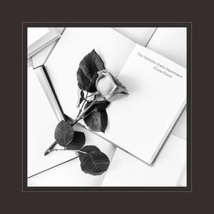 大精鱼网页版1下载
