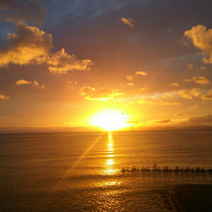 大精鱼网页版1下载
